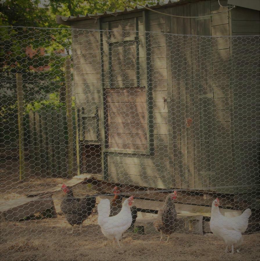 Forest Farm Papplewick Nottingham - Spacious Self-Contained Rural Retreat! Ngoại thất bức ảnh